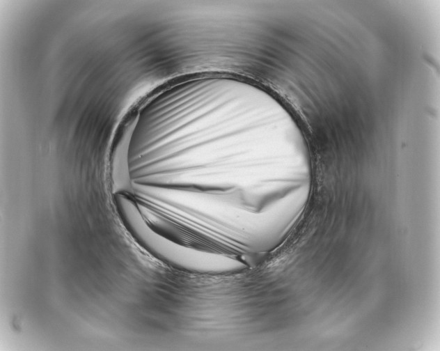 X0000098151072200805081037