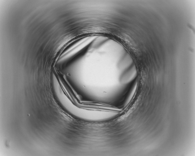 X0000098151073200805081037