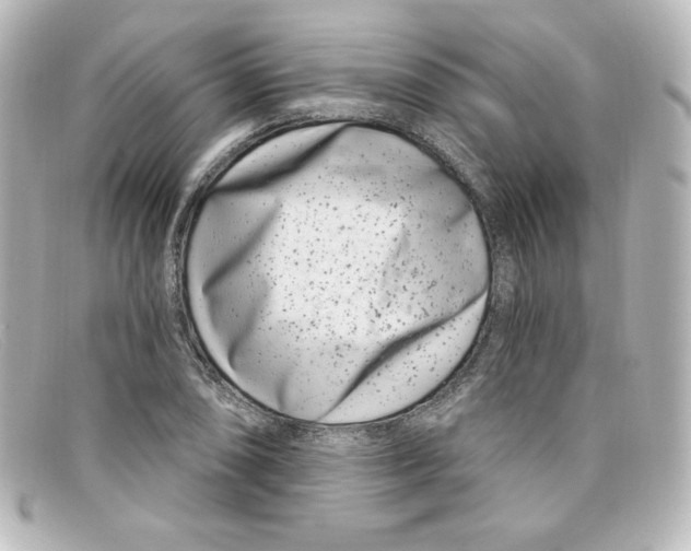 X0000098151074200805081037