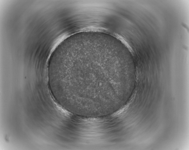 X0000098151075200805081037