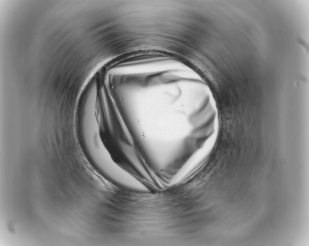 X0000098151076200805081037