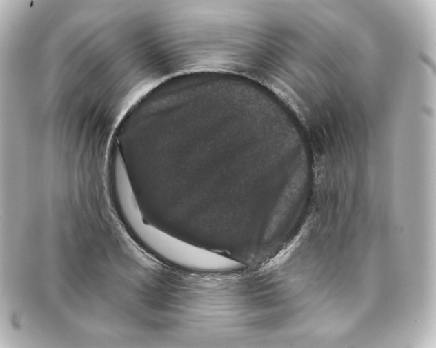X0000098151077200805081037