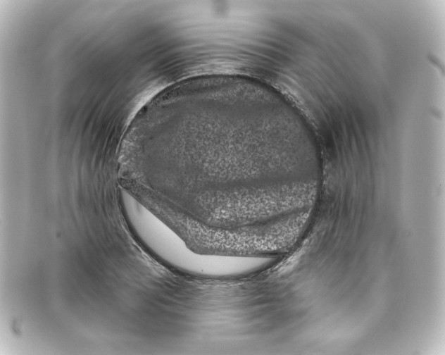 X0000098151081200805081037