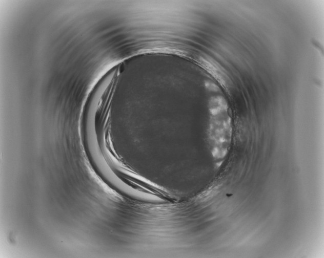 X0000098151084200805081037