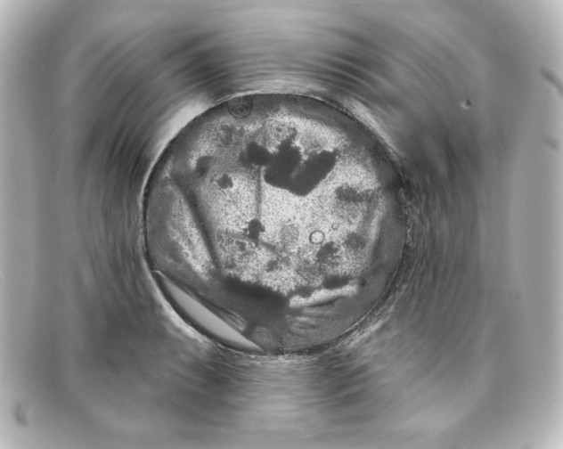 X0000098151087200805081037