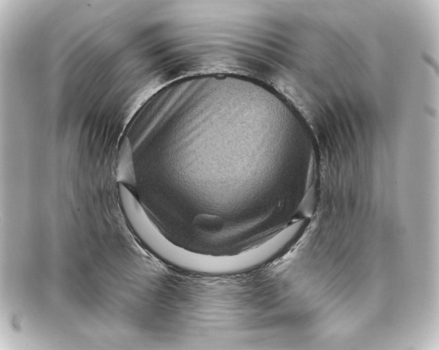 X0000098151089200805081036