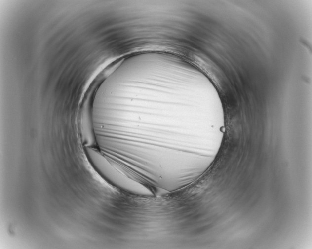 X0000098151092200805081036
