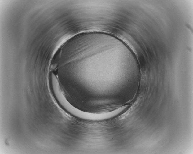 X0000098151093200805081036