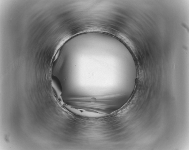 X0000098151097200805081036