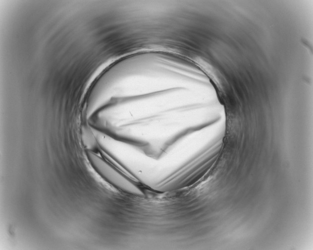 X0000098151100200805081036