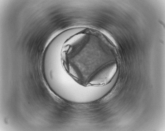 X0000098151101200805081036