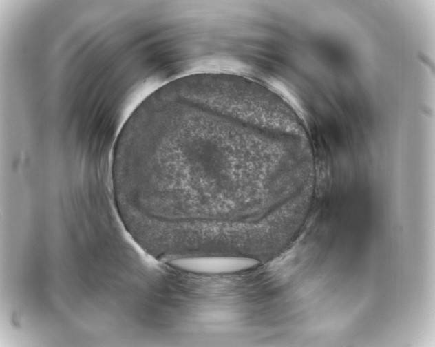 X0000098151103200805081036
