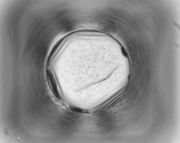 X0000098151104200805081036