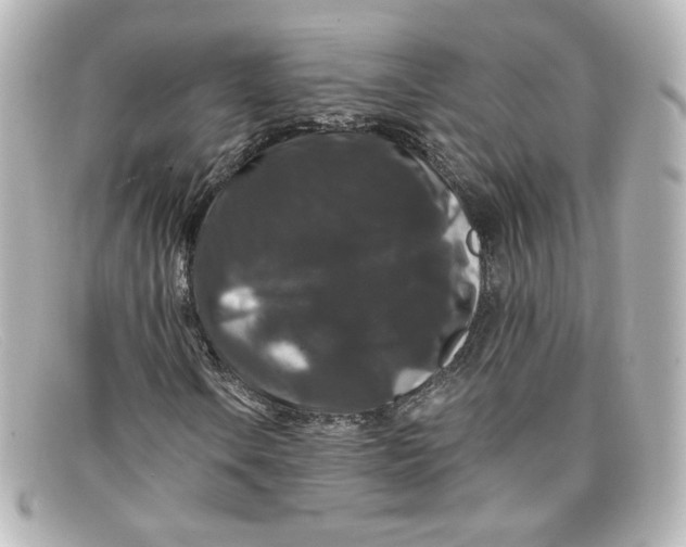 X0000098151106200805081036