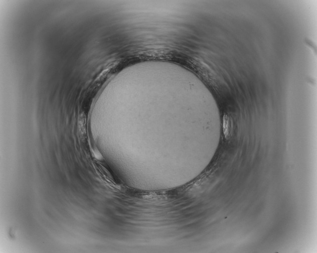 X0000098151107200805081036