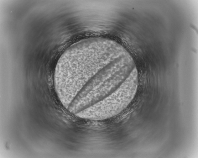 X0000098151109200805081036