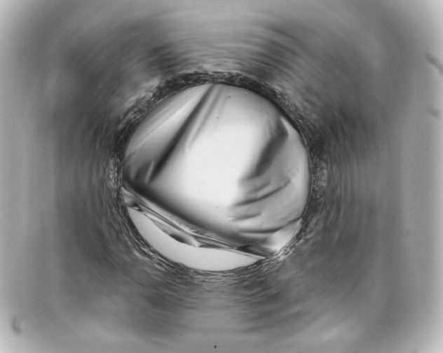 X0000098151110200805081036