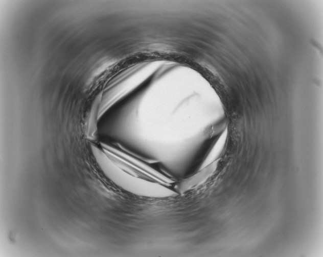 X0000098151112200805081036