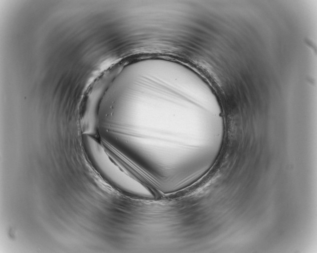 X0000098151114200805081036