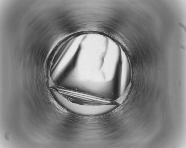 X0000098151116200805081036