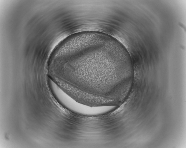 X0000098151119200805081036