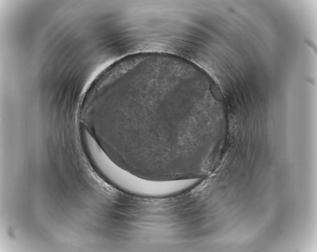 X0000098151120200805081036