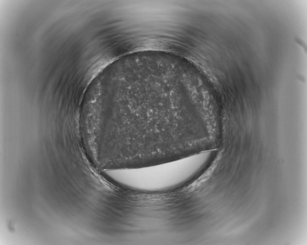 X0000098151121200805081036