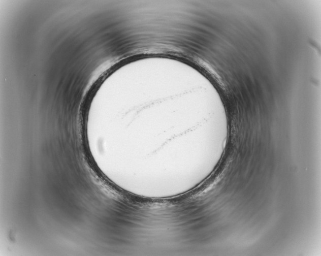 X0000098151122200805081036