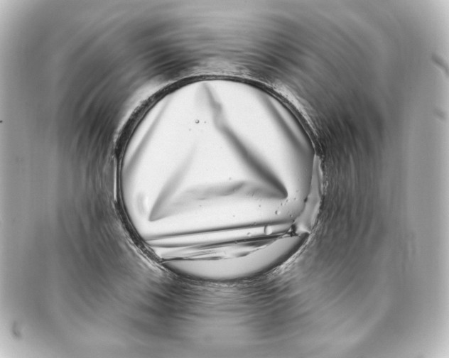 X0000098151123200805081036