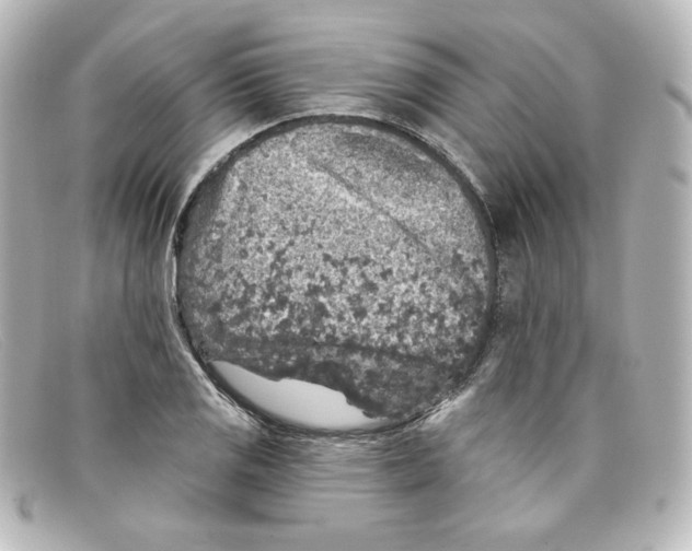 X0000098151125200805081036