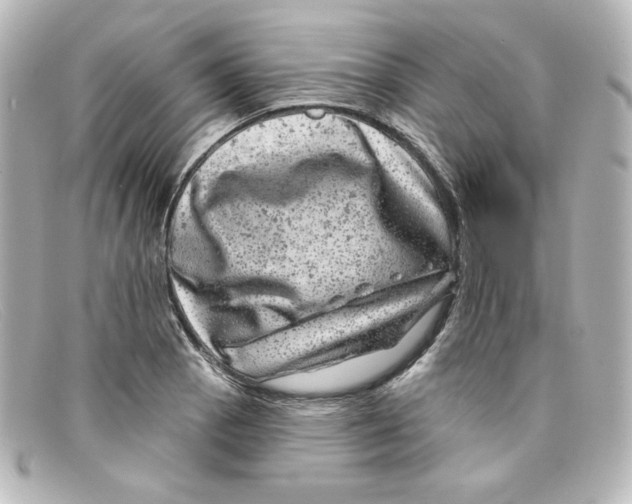 X0000098151129200805081036