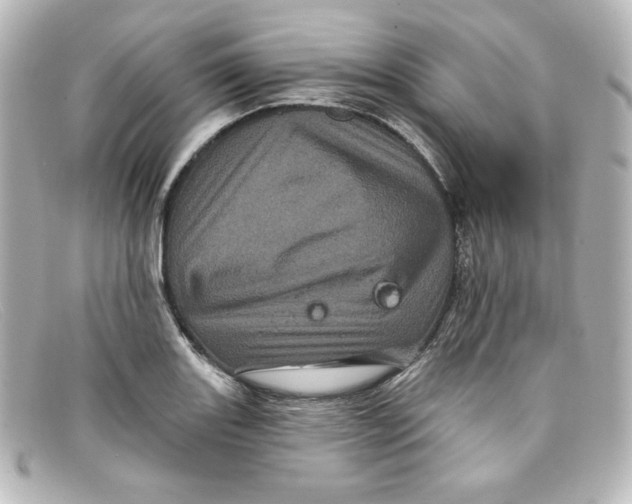 X0000098151131200805081036