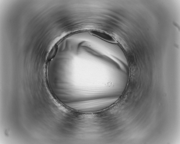 X0000098151134200805081036