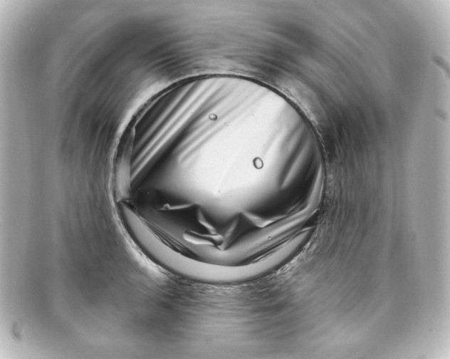 X0000098151136200805081036