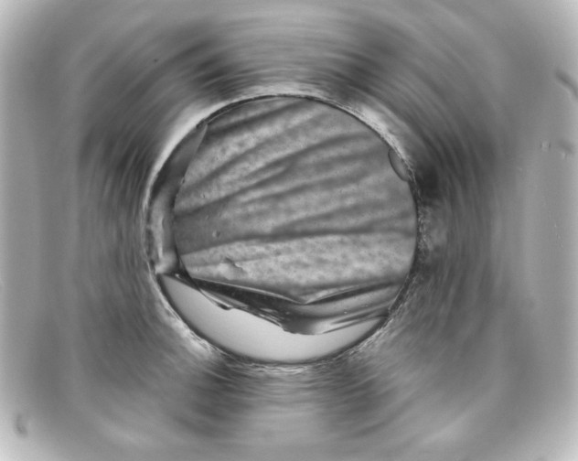 X0000098151140200805081036