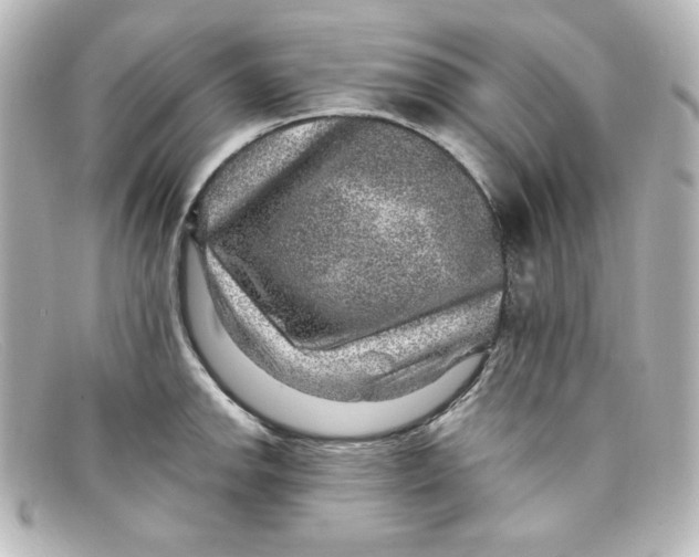 X0000098151142200805081036