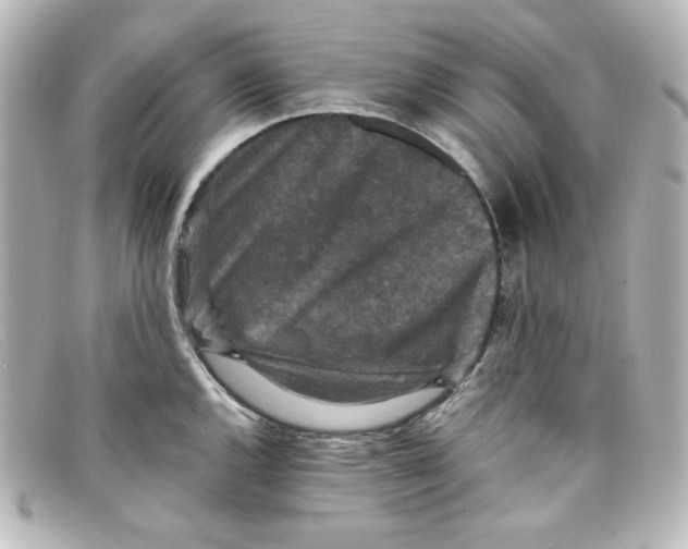 X0000098151144200805081036