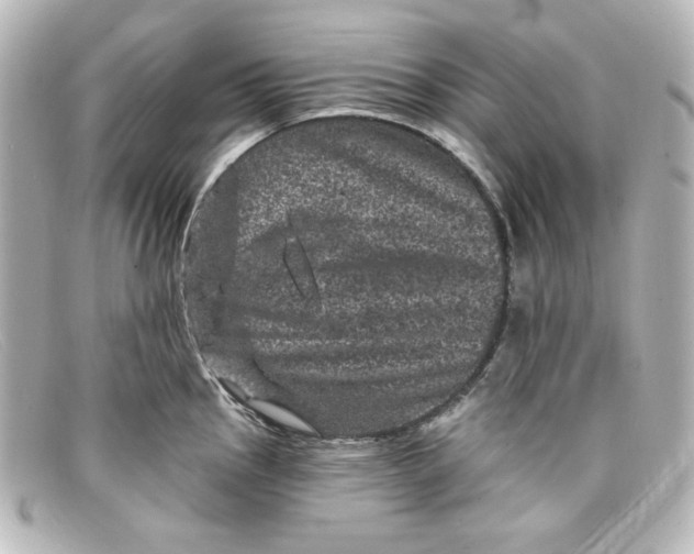 X0000098151145200805081036