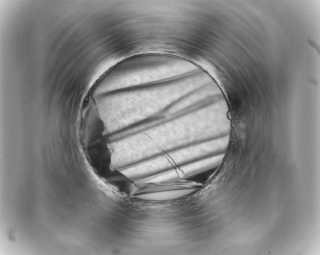 X0000098151147200805081036