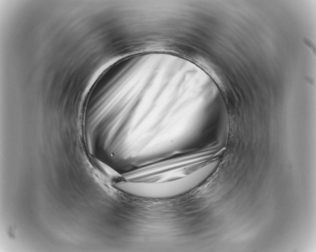 X0000098151148200805081036