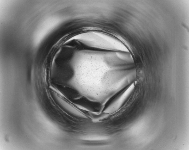 X0000098151151200805081036