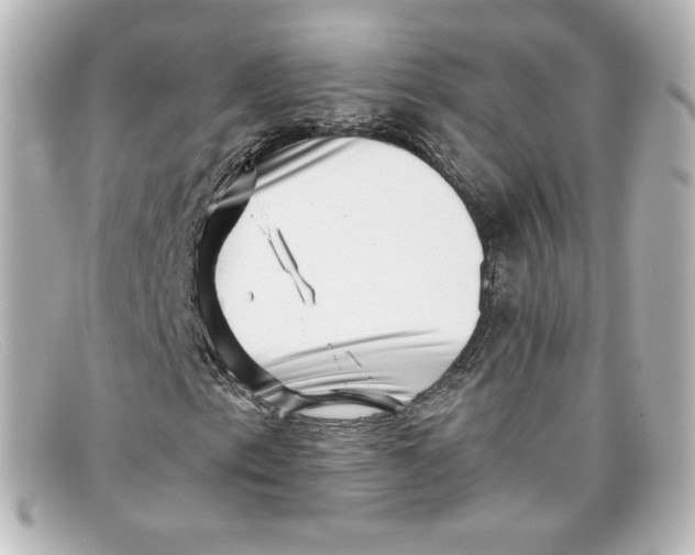 X0000098151153200805081036
