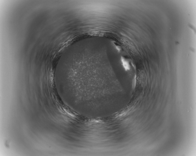 X0000098151154200805081036