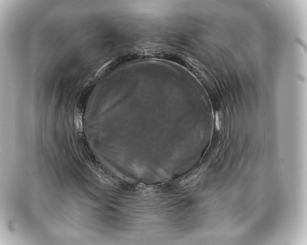 X0000098151155200805081036