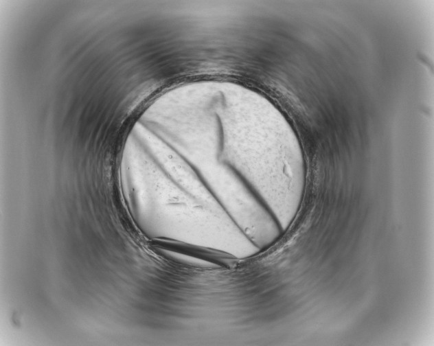 X0000098151162200805081035