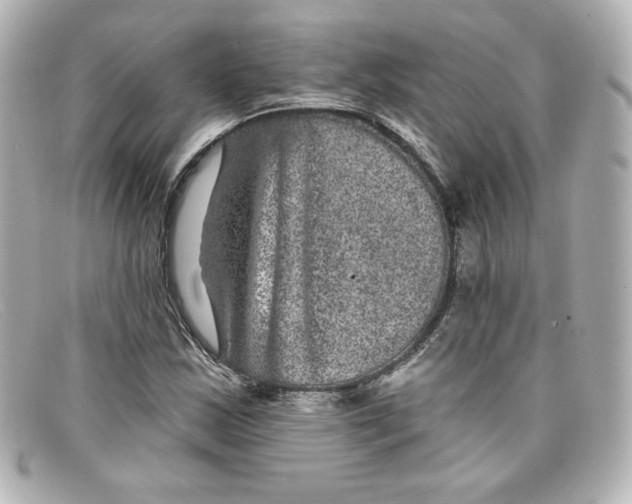 X0000098151163200805081035