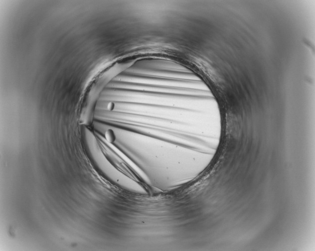 X0000098151164200805081035