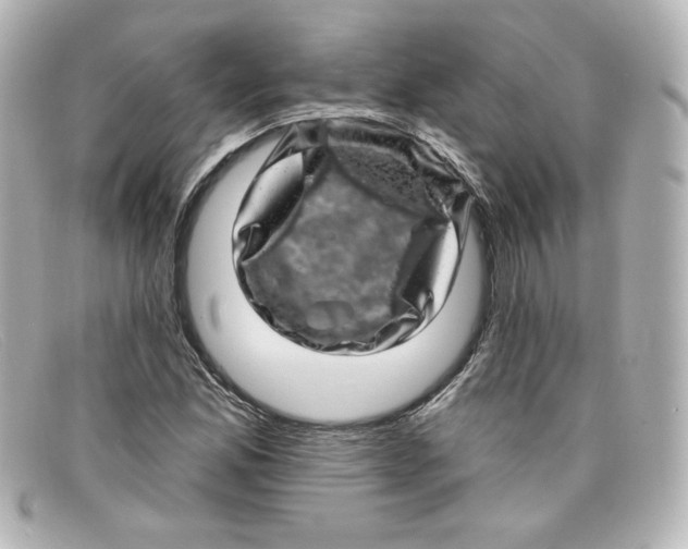 X0000098151165200805081035