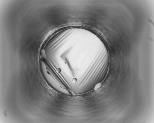X0000098151168200805081035