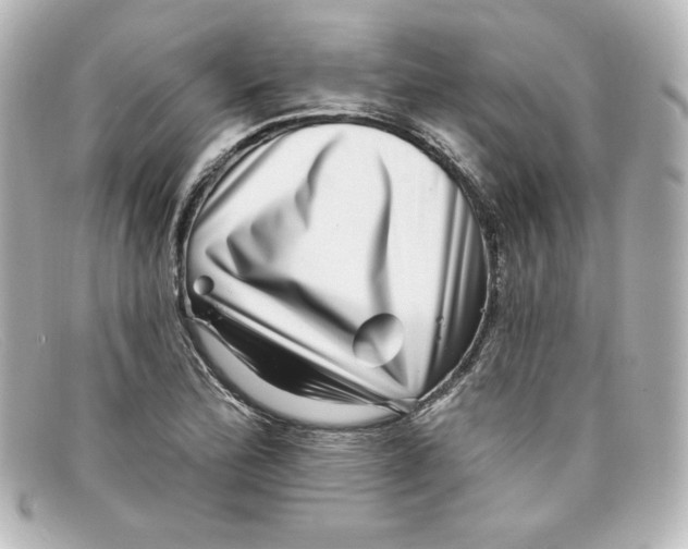 X0000098151172200805081035